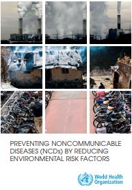 Preventing noncommunicable diseases (NCDs) by reducing environmental risk factors; 2017 (sólo en inglés)