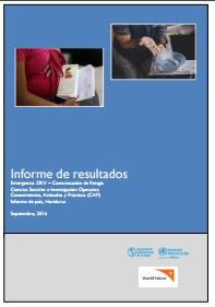 Informe de resultados encuesta CAP-ZIKA informe de País, Honduras; 2016 (Spanish only)