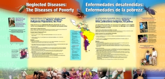 Enfermedades desatendidas: Enfermedades de la pobreza