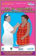 PAHO/WHO - Ministries of Health: H1N1 Communication Materials