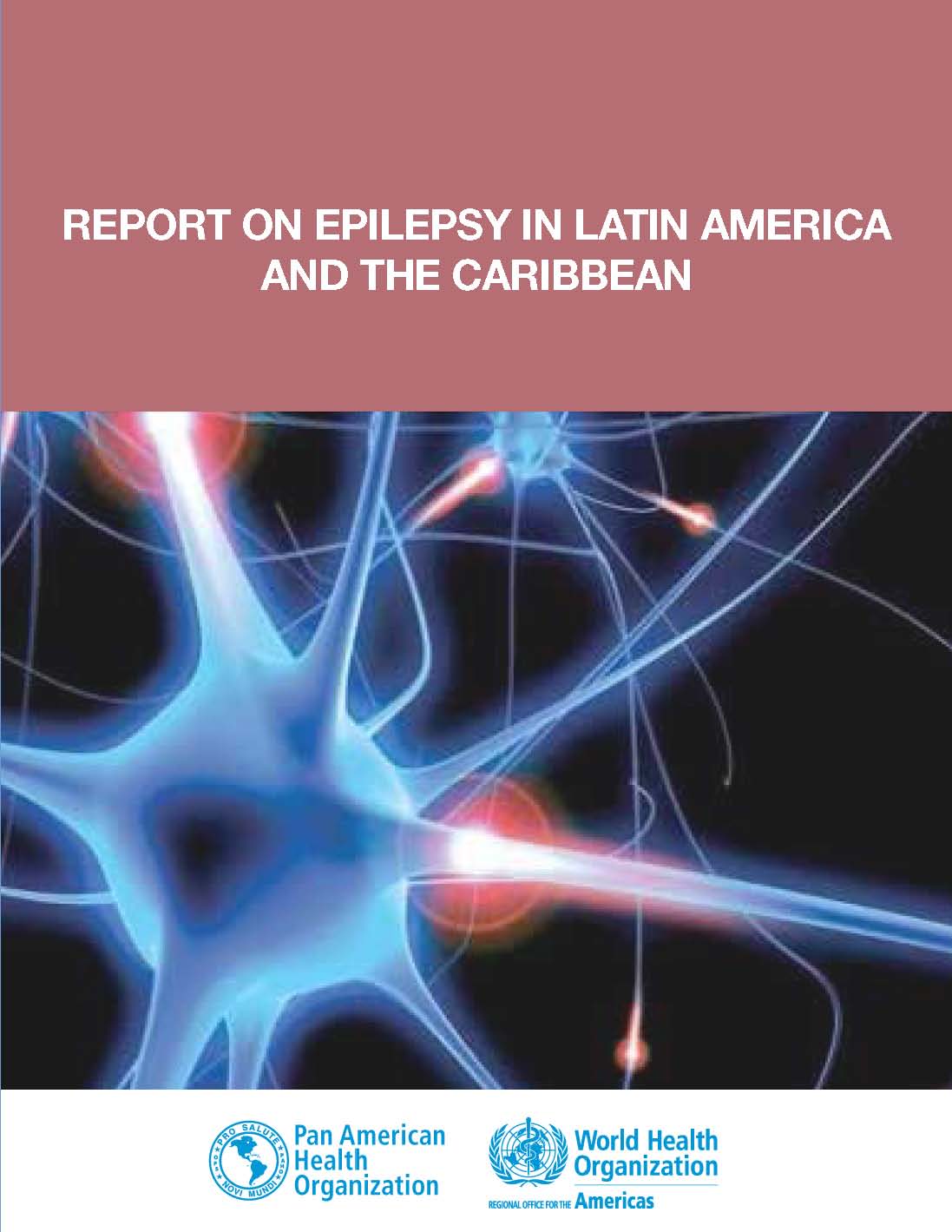 Report on Epilepsy in Latin America and the Caribbean, Washington, DC, 2013