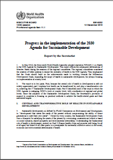 progress-implementation-2030-agenda-sustainable-development