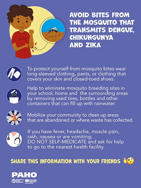 Poster - Avoid bites from mosquito that transmits dengue, chikungunya and zika
