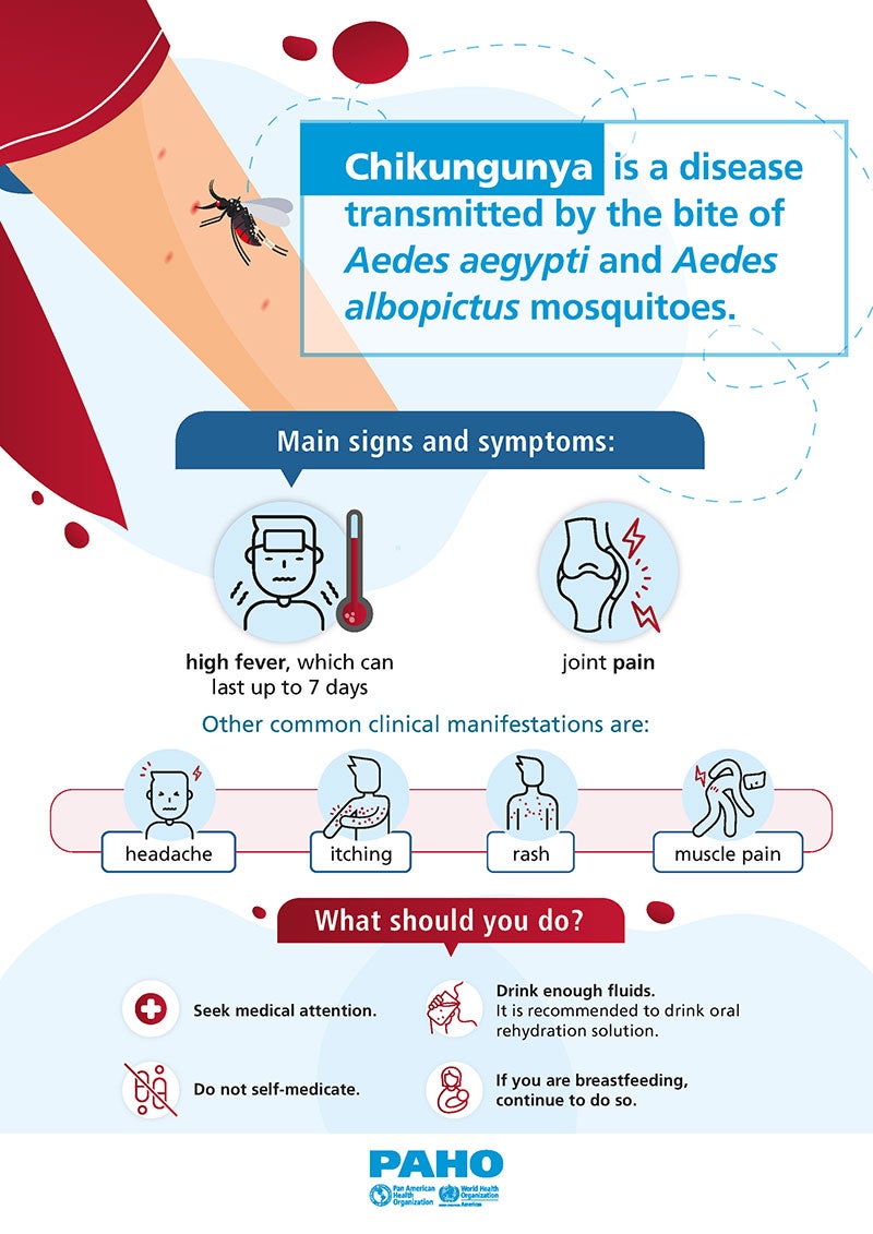 Poster: Chikungunya. Signs and symptoms