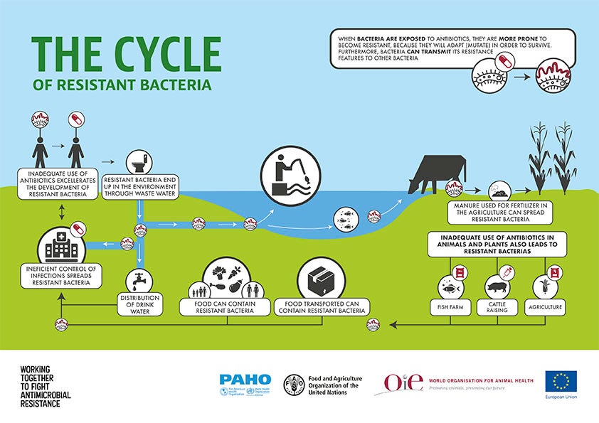 cover-infog-cycle-amr