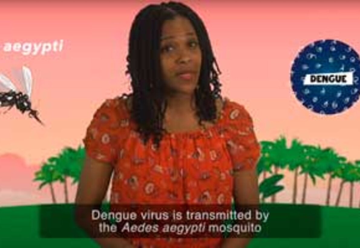 6 coisas para saber sobre a dengue (Em Inglês)