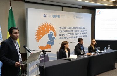 Expertos de la OPS durante la consulta regional en Brasil