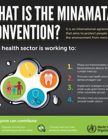 Infographic. What is the Minamata convention?; 2017