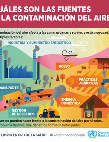 Infografía. ¿Cuáles son las fuentes de la contaminación del aire?;2019