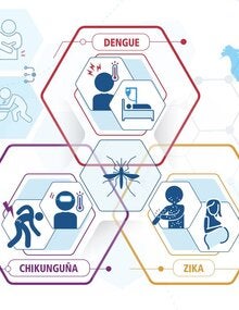 Définitions de cas Dengue, chikungunya et Zika