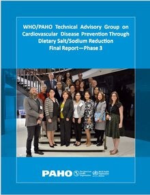 WHO/PAHO Technical Advisory Group on Cardiovascular Disease Prevention Through Dietary Salt/Sodium Reduction: Final Report Phase 3