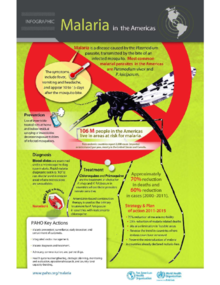 Infographic - Malaria