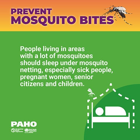 Prevent mosquito bites - Mosquito nettings