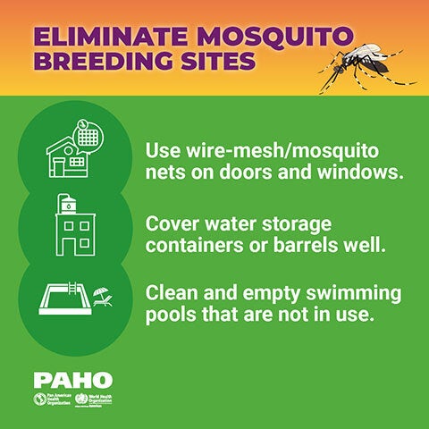 Eliminate mosquito breeding sites - Windows, barrels and swimming pools