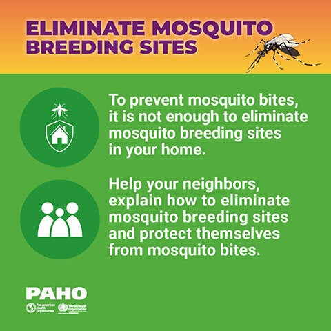 Eliminate mosquito breeding sites - Neighborhood