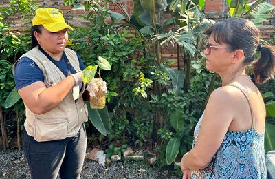 Personal de SENEPA trata un florero con agua para evitar criaderos de mosquitos y recomiendan a la   Un recorrido casa por casa contra el dengue en Paraguay