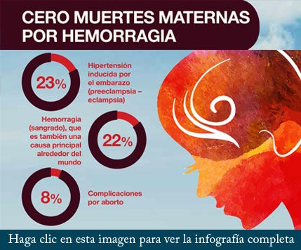 Zero Maternal Deaths Infographic