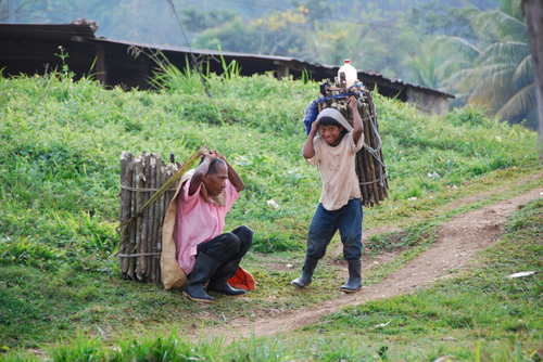Adult and child working in agriculture
