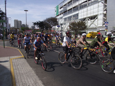 cyclists on an urban street
