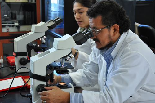 Lab researchers