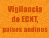 Vigilancia de ECNT en los países andinos