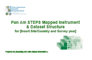 PAHO. Pan American STEPS mapped instrument & Dataset Structure