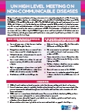 PAHO. Factsheet on United Nations High-Level Meeting, 2011