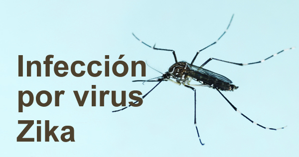 http://www.paho.org/hq/images/stories/fp_slideshow/zika-virus-infection-spa.jpg