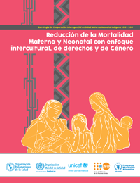 Reducción de la mortalidad materna y neonatal con enfoque intercultural de derechos y de género