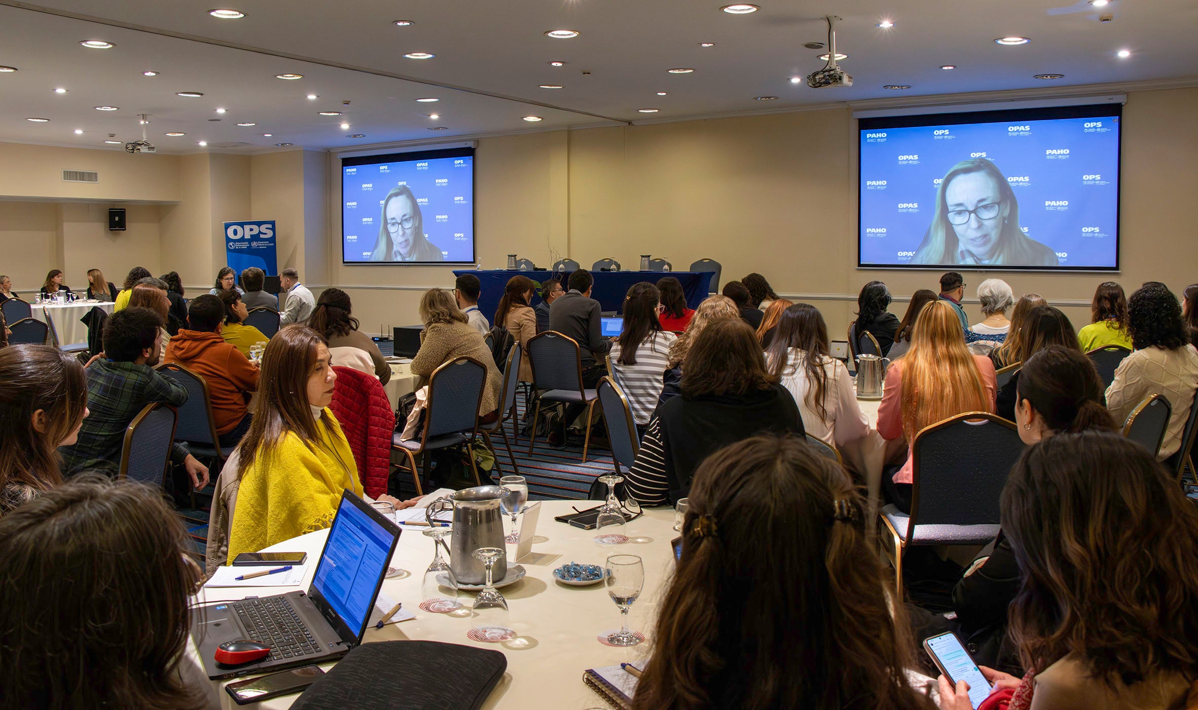Foto del momento de la participación de la representante de OPS Argentina