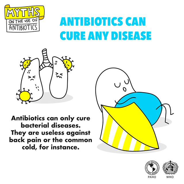 antib gif myth 1