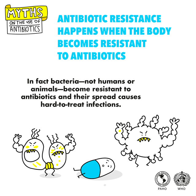 antim gif myth 6