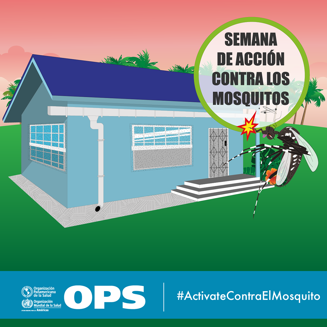 Mosquiteros