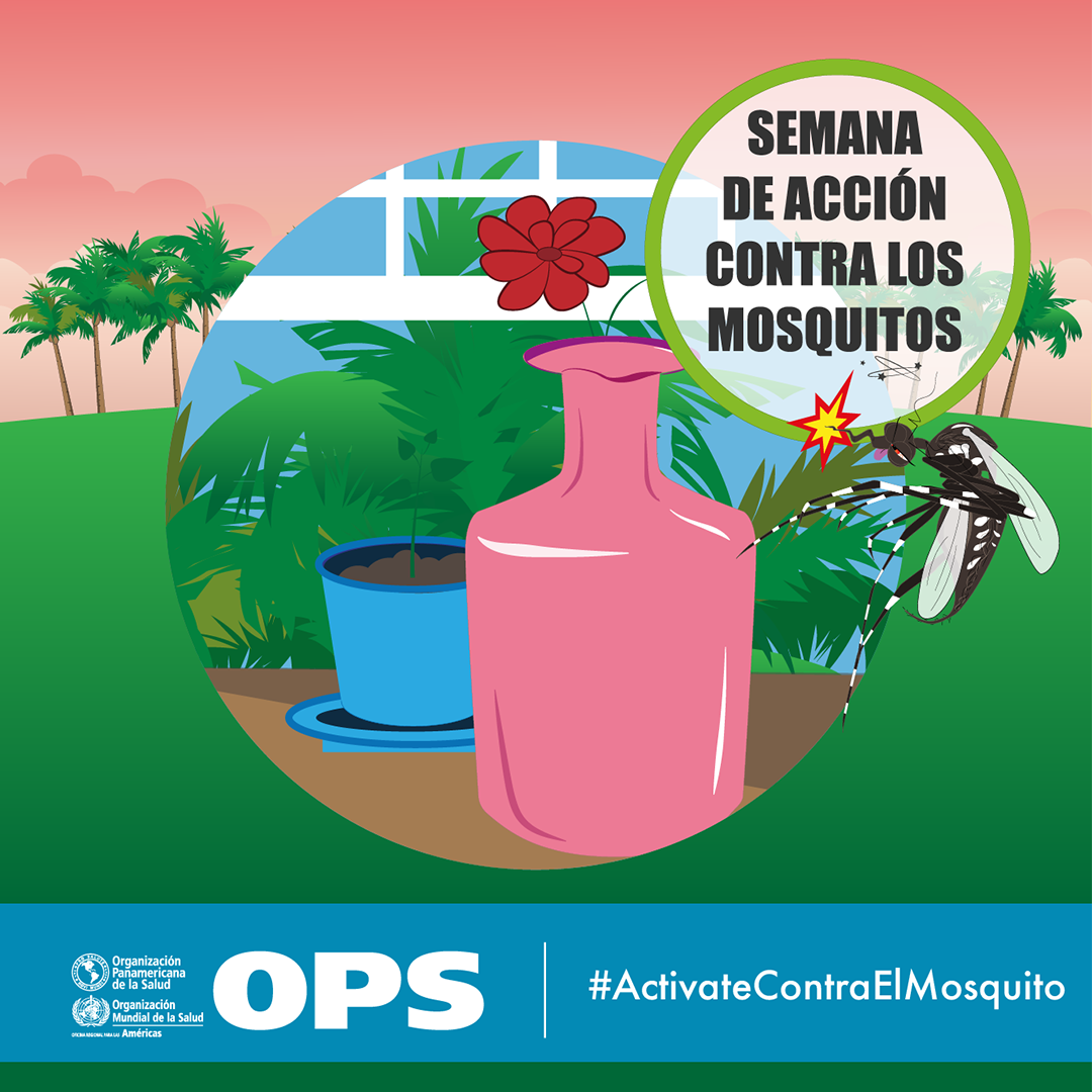  Semana de acción contra los mosquitos 2018-2019: Postal para redes sociales - Floreros y macetas Semana de acción contra los mosquitos 2018-2019: Postal para redes sociales - Floreros y macetas