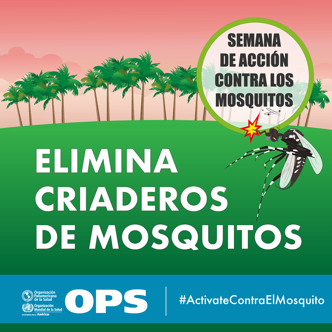Elimina criaderos de mosquitos