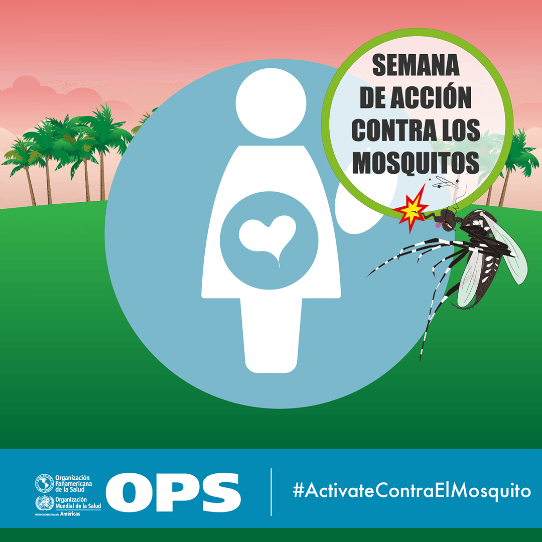 Precauciones en embarazadas