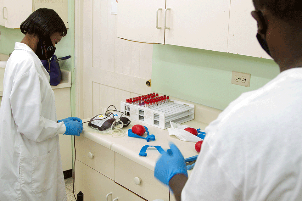 Health personnel in a blood service in Jamaica