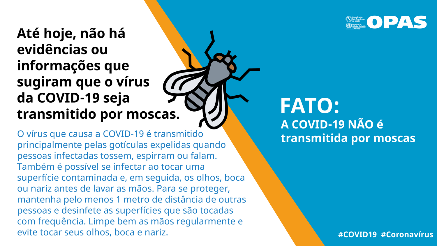 FATO: A COVID-19 NÃO é transmitida por moscas