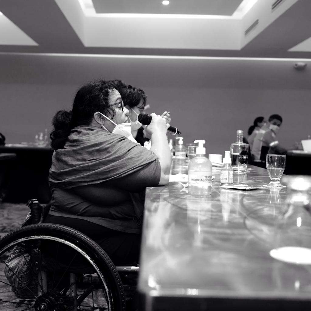 Coalición para la inclusión de personas con discapacidad