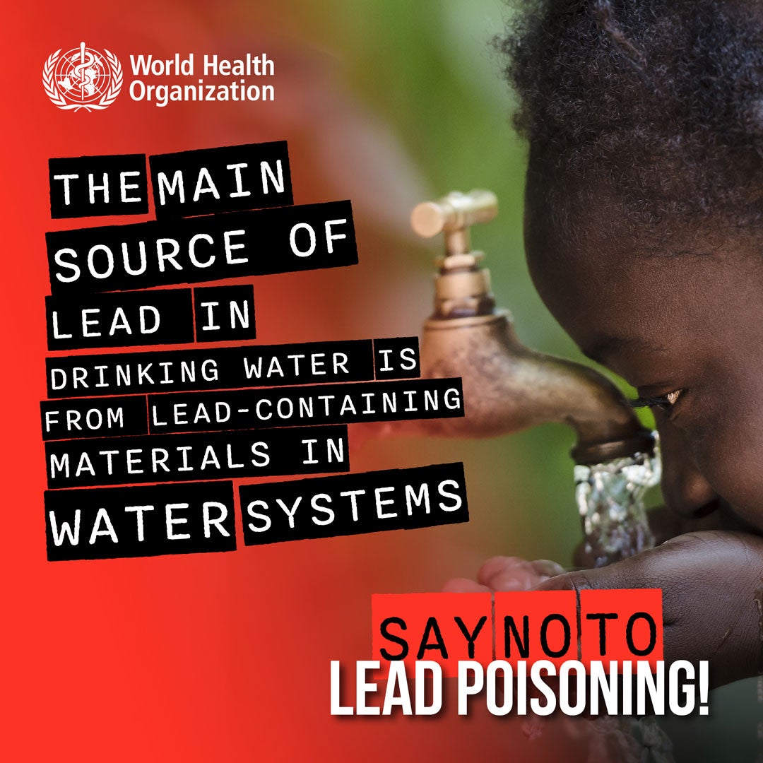 WHO Social media postcard: Lead in drinking water