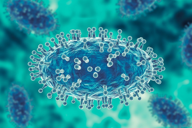monkeypox virus