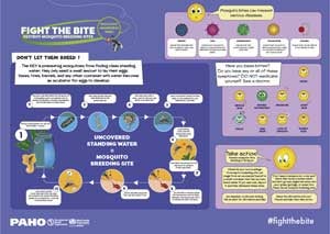 Mosquito awareness week 2018-2019: Infographic. Mosquito awareness week 2019. Mosquito bites can transmit serious diseases (JPG version- A3 11,7x16,5 in.)