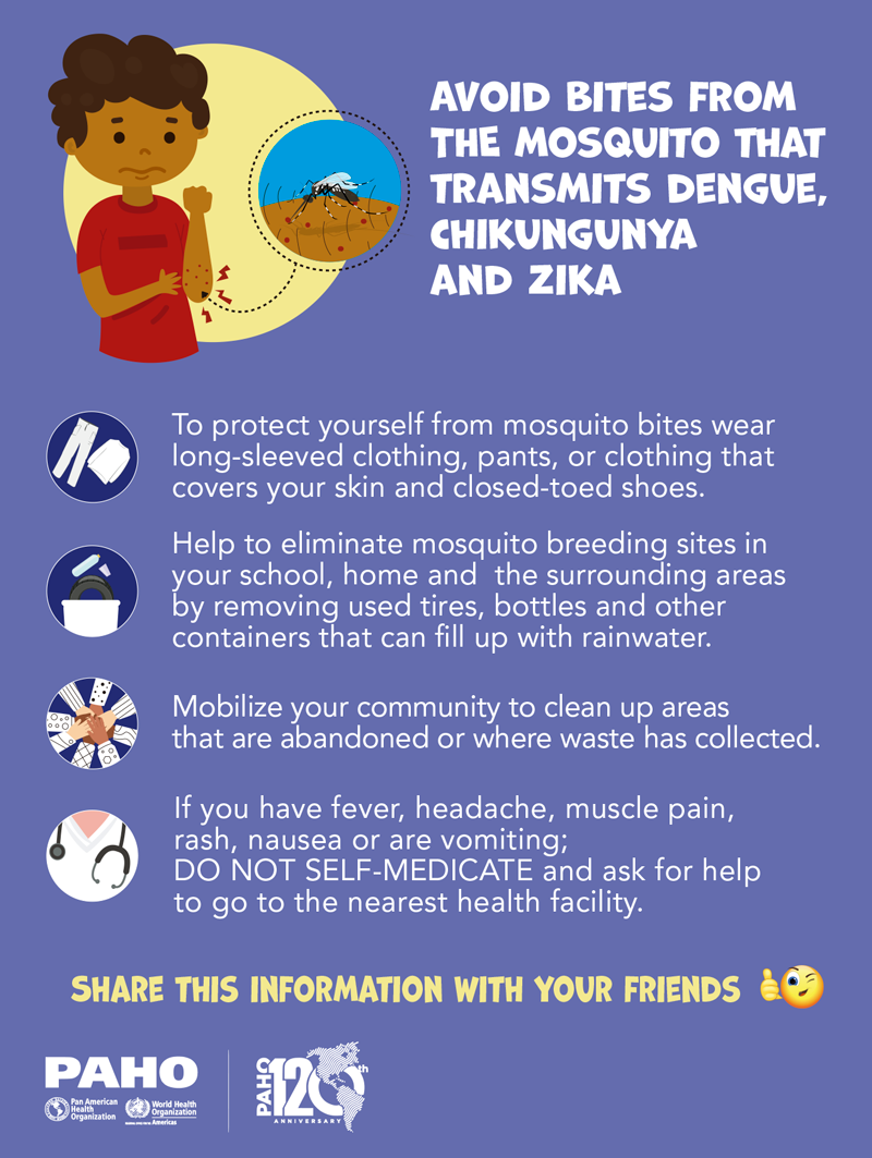 Poster - Avoid bites from mosquito that transmits dengue, chikungunya and zika