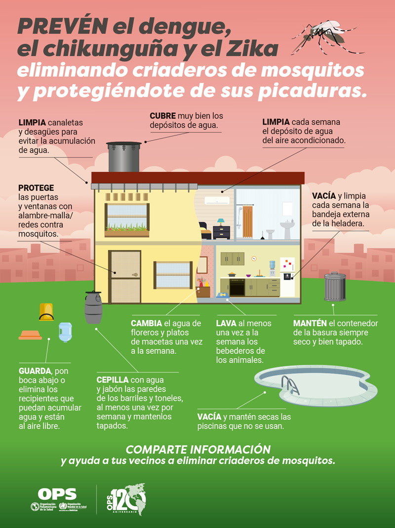 Poster - Prevención del dengue, chikunguña y Zika en el hogar