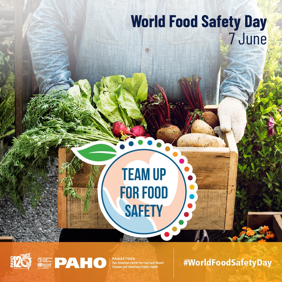 World Food Safety Day 2023 PAHO/WHO Pan American Health Organization
