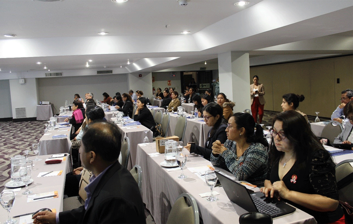 Profesionales de la salud fortalecen sus capacidades en la implementación de la Estrategia 
