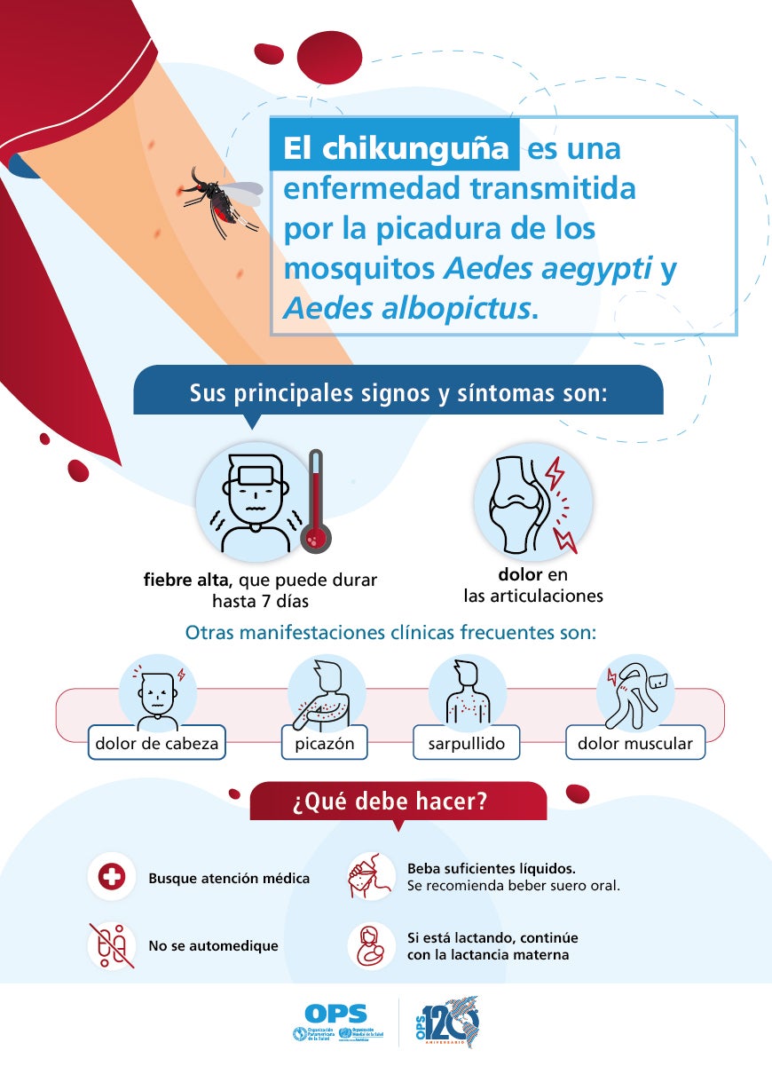 Poster: chikunguña. Signos y síntomas