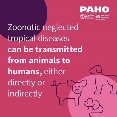 World Neglected Tropical Diseases Day 2024: Unite. Act. Eliminate.