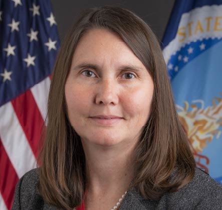 Delegado Sector Público