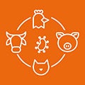 zoonosis